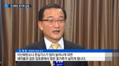 심해진 알레르기…온난화로 꽃가루 급증 탓